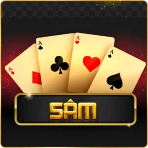 SAM